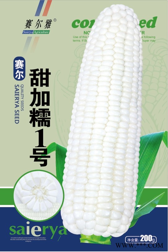 供应赛尔甜加糯1号—糯玉米种子
