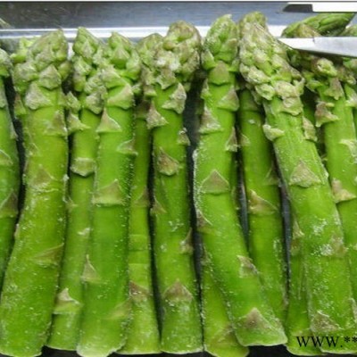 供应日本绿箭——芦笋种子