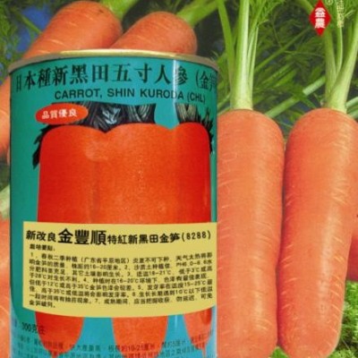 供应丰顺改良新黑五寸金笋——胡萝卜种子