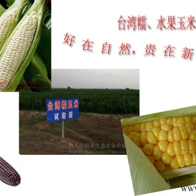 供应台湾糯玉米、水果玉米