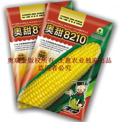 供应奥甜8210—超甜水果玉米种子