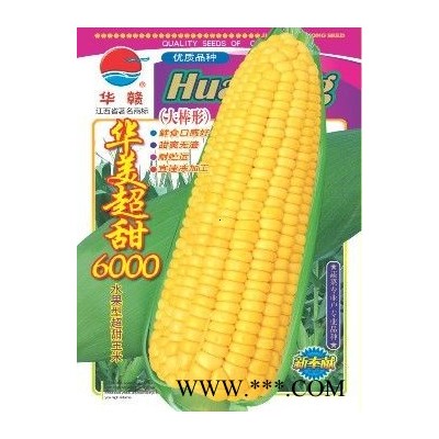 供应华美超甜6000—菜用玉米种子
