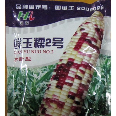 供应鲜玉糯2号—玉米种子