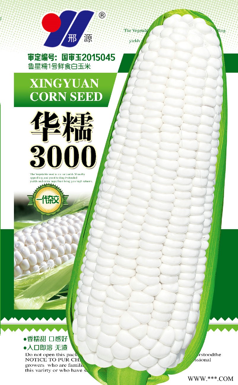 供应华糯3000—菜用玉米种子