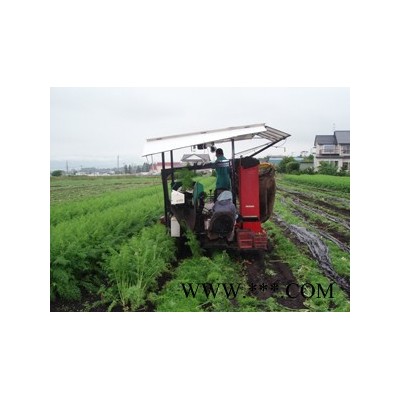 供应北京2014供应胡萝卜种子价格