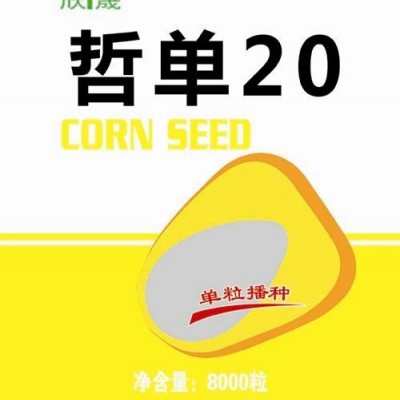 供应哲单20—玉米种衣剂