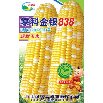 供应嵊科金银838—玉米种子