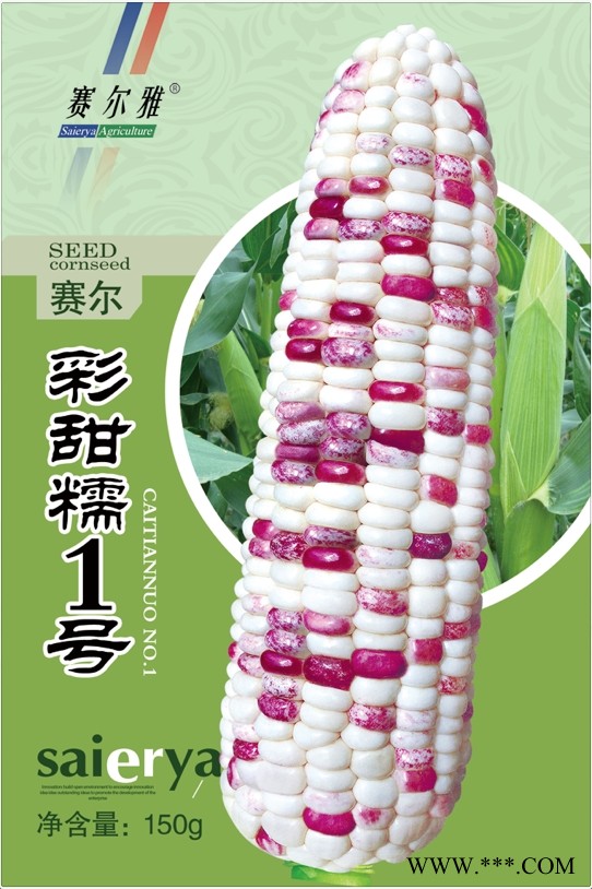 供应赛尔彩甜糯1号—糯玉米种子