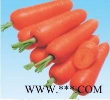 供应MS-643—胡萝卜种子