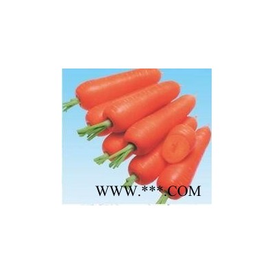 供应MS-643—胡萝卜种子