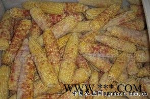 供应东北速冻玉米