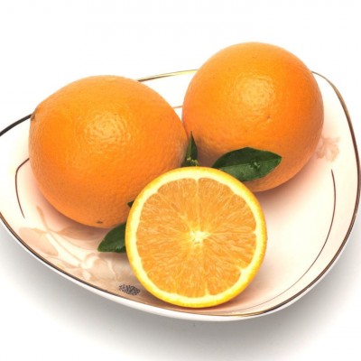 供应甜橙