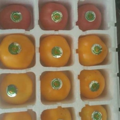供应老品种黄柿子