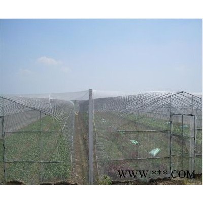 供应果园防雹网、防虫网、防鸟网