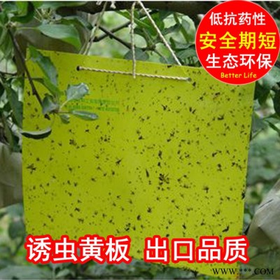 杀虫板诱虫板粘虫板黄板出口品质有机茶叶果蔬必用cm