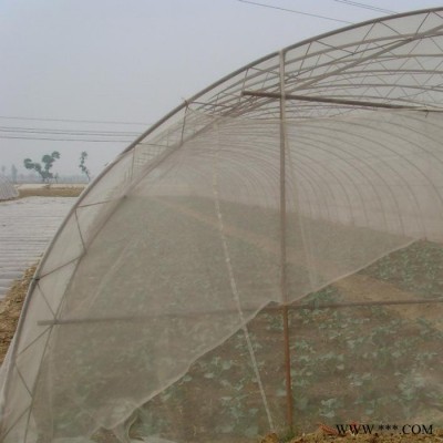栋天  专业生产  40目-500目  聚乙烯防虫网 蔬菜大棚防虫网 农业种植防虫网  防虫网厂家