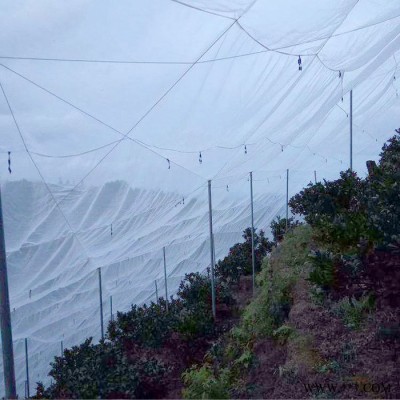 厂家生产   防虫网 蔬菜防虫网  杨梅果树防虫网 防虫网网室