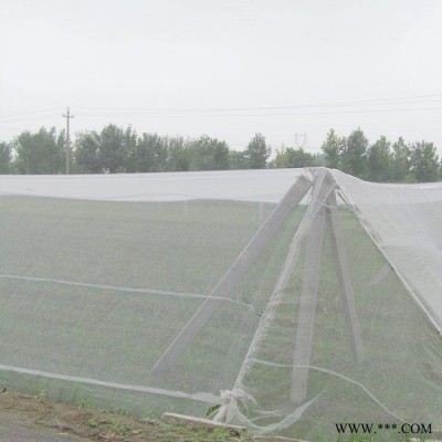 厂家生产   防虫网 果树大棚防虫网 防虫网网室