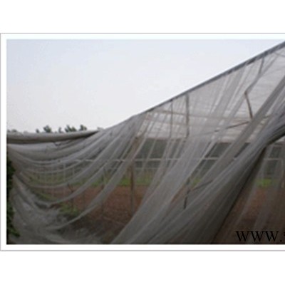 供应朗圣防虫网,蔬菜大棚防虫网，蝗虫养殖网，防虫网规格.