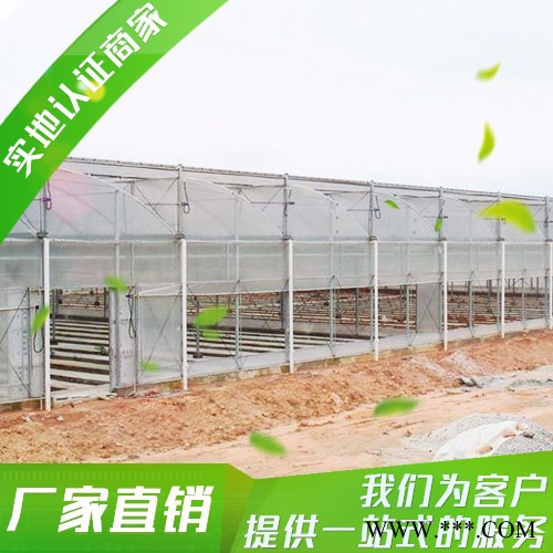 蔬菜大棚防虫网 ** 质量保证 价格优廉 100％ 防老化防虫网 温室大棚防虫网