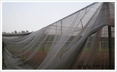 供应,朗圣防虫网,防虫网 价格，防虫网材质，防虫网