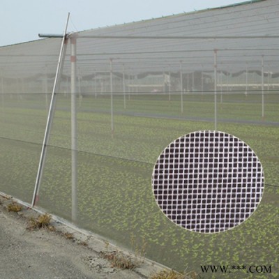 河北种菜防虫网 1-3米宽乙烯材质防虫网 目数多种 价格便宜