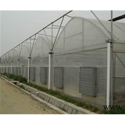 供应朗圣001防虫网,防老化,，防虫网 报价，蔬菜大棚防虫网