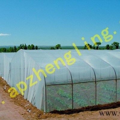 供应正菱蔬菜防虫网，塑料防虫网