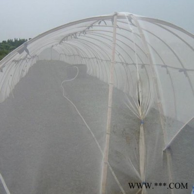 供应蔬菜防虫网   聚乙烯防虫网  防虫网   防虫网价格