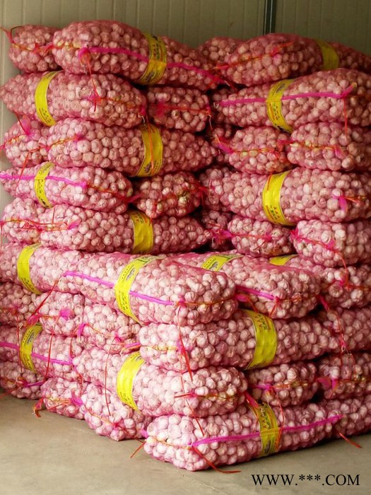 厂家生产质量保证大蒜网袋塑料网袋用于蔬菜水果等农产品的包装运输恒泰隆塑网网格袋防虫网