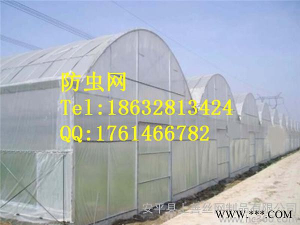 安平防虫网6-60目乙烯材质1-2米宽蔬菜防虫防病优选