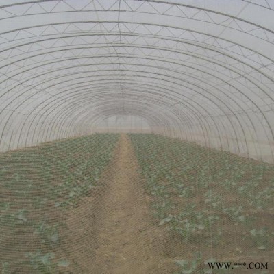 蔬菜防虫网  温室大棚蔬菜防虫网  大棚温室防虫网   防虫网