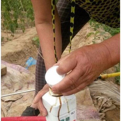 新疆枣树专用叶面肥 海藻甲壳素叶面肥价格 叶面肥厂家