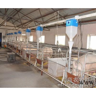 南商农牧ns-14 产房母猪饲喂系统  母猪料槽