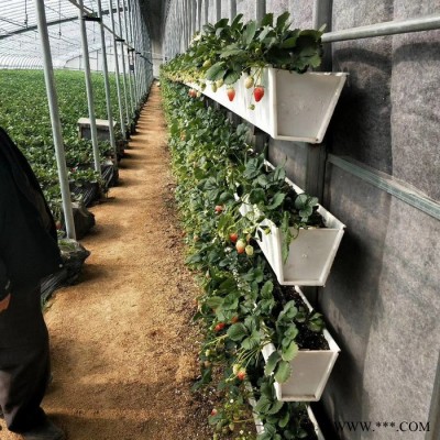 丰之源温室立体栽培种植槽 多层落地营养液栽培槽 草莓立体种植架子 温室PVC种植槽