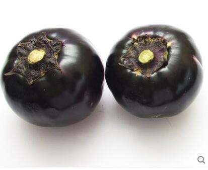 圆茄子2斤紫茄子 当季新鲜蔬菜基地自种
