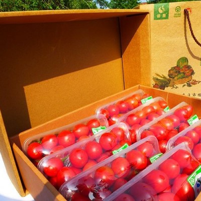 新鲜水果圣女果 樱桃 西红柿 千禧红果礼盒 绿色食品