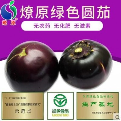 燎原绿色圆茄子2斤紫茄子 当季新鲜蔬菜基地自种