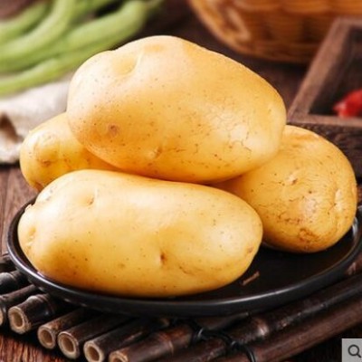 燎原绿色新土豆 马铃薯自种 宝宝孕妇健康辅食