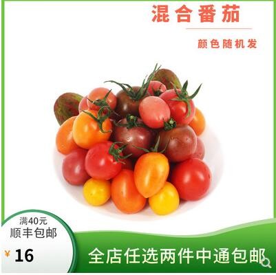 勤励园2斤新鲜混合小番茄1000g无污染无公害基地蔬菜健康食品零食