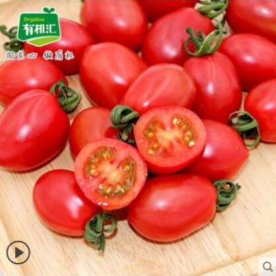 有机汇有机西红柿小番茄新鲜有机蔬菜沙拉生吃圣女果小西红柿500g