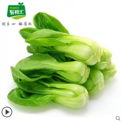 有机汇 有机上海青油菜时令农家新鲜有机蔬菜配送顺丰小青菜500g