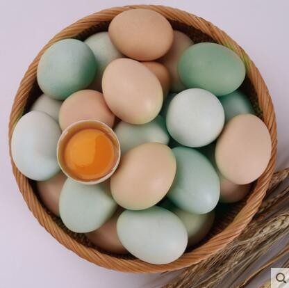 乡公馆鸡蛋新鲜40枚土鸡蛋农家散养20枚土鸡蛋20枚乌鸡蛋混装整箱