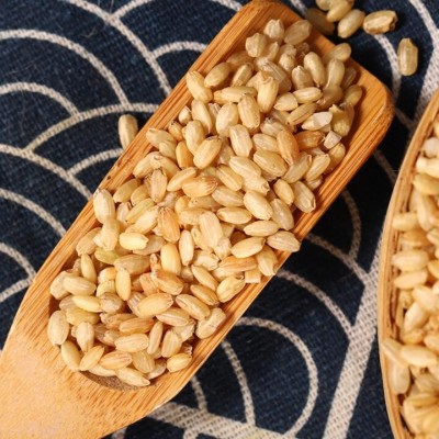 厂家直供 熟糙米 五谷杂粮 熟糙米散装 糙米粗粮