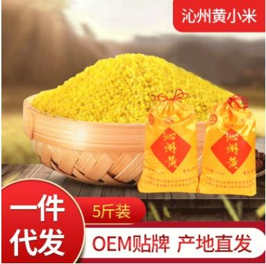 沁州有机黄小米 2500克小米丝绸袋装 农家食用有机黄小米现货