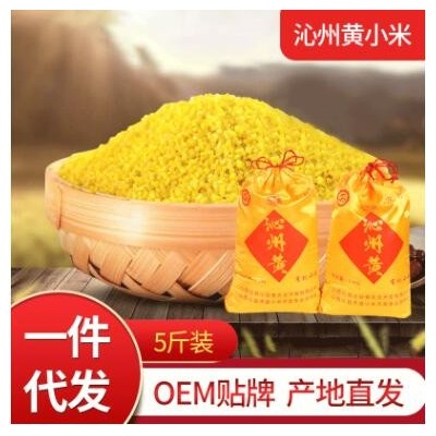 沁州有机黄小米 2500克小米丝绸袋装 农家食用有机黄小米现货