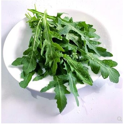 新鲜芝麻菜250g 德国芥菜 火箭菜 西餐沙拉蔬菜食材