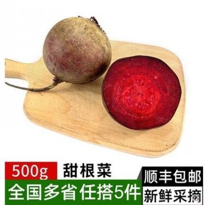 甜根菜500g 紫菜头新鲜蔬菜大头菜心里美