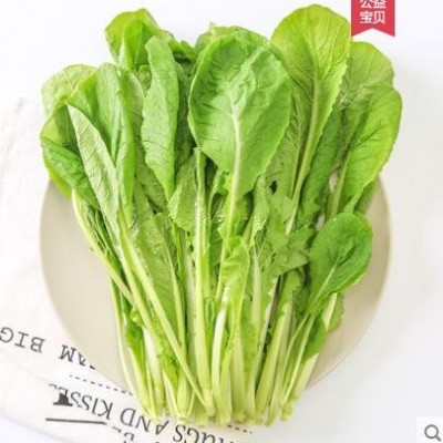 【旭耕】有机小白菜350g 净菜青菜新鲜蔬菜四季农家种植