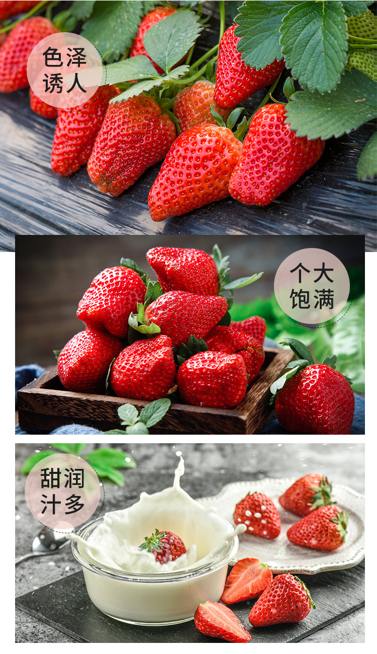 草莓_05